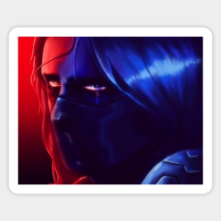 Winter Soldier Sticker